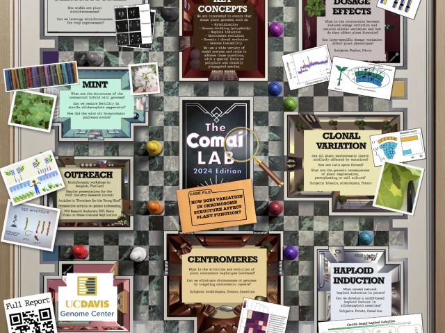 Comai Lab Clue Poster