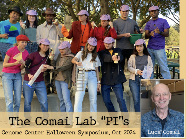 Comai Lab